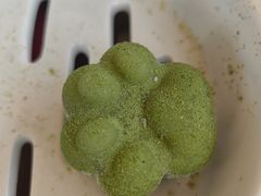 -船歌·鱼水饺青岛菜(奥帆中心店)