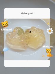 -艾尚妮·美容美体SPA