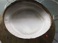 -椰爺爺·椰子冻砵仔糕