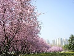 -白塘生态植物园