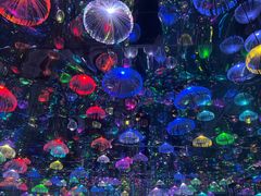 -上海梵高星空艺术馆(南京路旗舰店)
