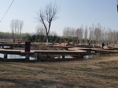 -东郊湿地公园