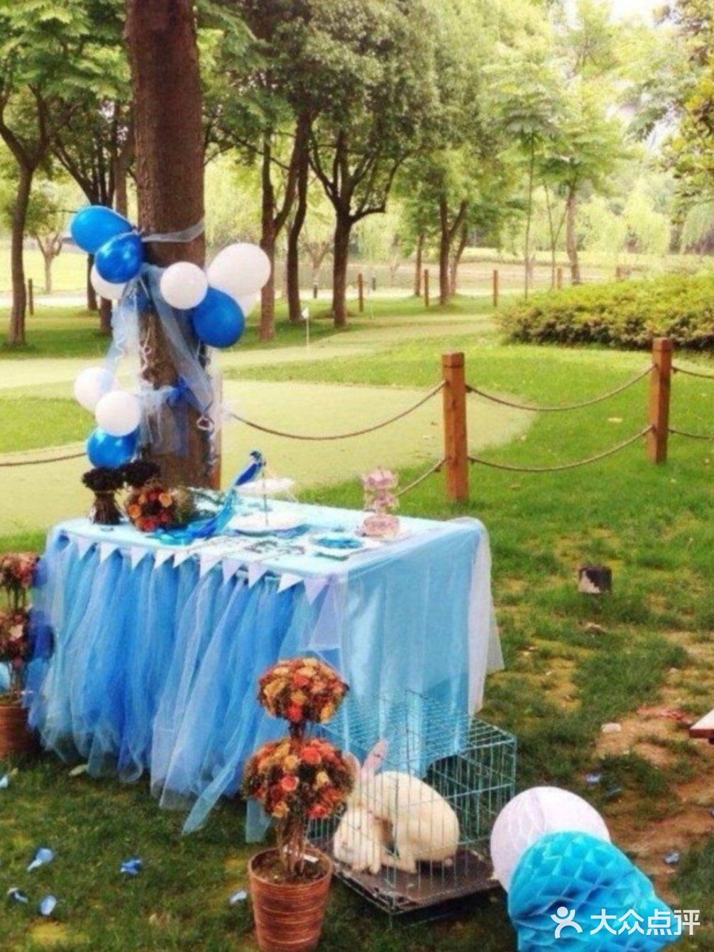 各种各样的户外游乐~圣诞遛娃宝藏地！