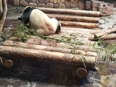-济南野生动物世界