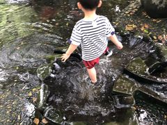 -成都市活水公园
