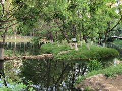 -长白岛森林公园