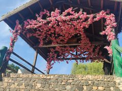 -沂蒙云瀑洞天景区