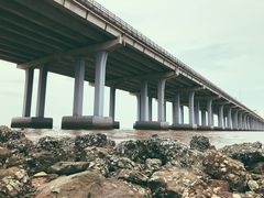 -宝安西湾红树林湿地公园