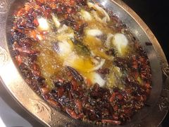 -雲蜀龙阁·金牌水煮鱼(方庄店)