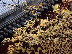 -香山公园