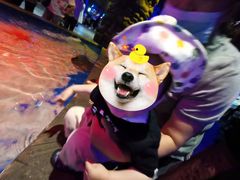 -华夏文旅海洋公园