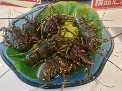 -南海渔村·空中一号