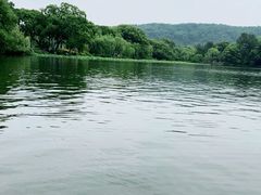 -西湖游船