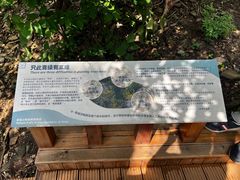 -佛慧山