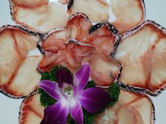 鲜鱼片-蜀九香火锅(彩虹店)