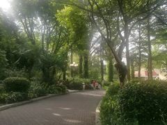 -东风公园