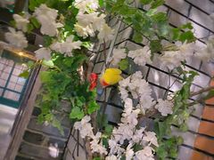 -龙抄手食府(浣花北路店)