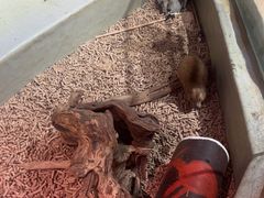 -正佳雨林生态植物园