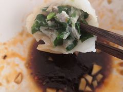 韭菜鲜肉饺-袁记云饺(西安路店)