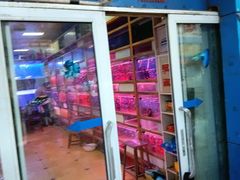 -山东柏宁水族批发广场