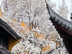 -龙华寺
