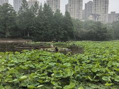-龙头寺公园