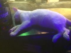 -星宿秘码(鼓浪屿老店)