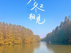 -上海海湾国家森林公园