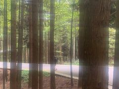 -山王坪喀斯特国家生态公园