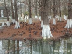 -白塘生态植物园
