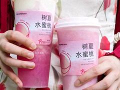 -树夏(锦里店)