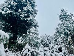 -九峰山