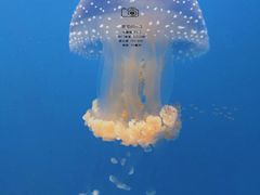 -常州海昌海洋探索馆