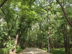 -廊坊市自然公园