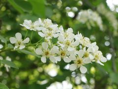 -沈阳辉山风景区