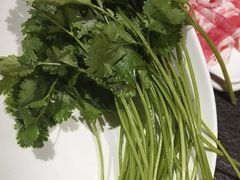 -蒙都43°9羊火锅(平庄店)