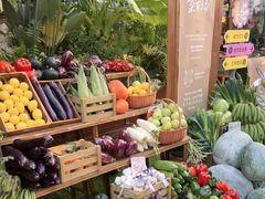 -蘑界·野生菌火锅(深业上城店)