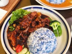 -马来MO简餐.南洋风味料理(美食街店)