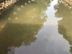 -月亮湾公园