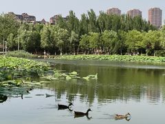 -前关湿地公园