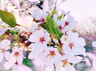 周末的天气阳光明媚，拉着老公走一走环城步道吧