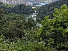 -桃花岭景区