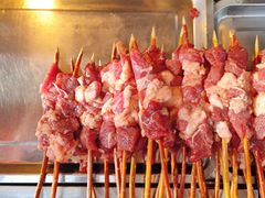 -艾力江和田馕坑烤肉店