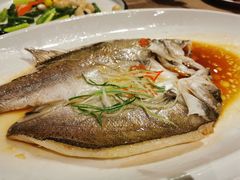 白蕉海鲈鱼-江南原著(中联广场店)