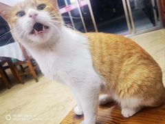 -菜当家