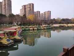 -青枫公园
