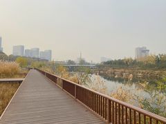 -西海子公园