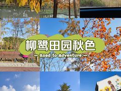 -柳鹭田园区