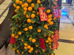 -大光明电影院(南京西路店)