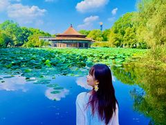 -二一九公园